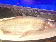 -忆江南·临江鱼馆