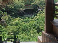 -海南槟榔谷黎苗文化旅游区