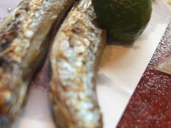 -月龍吟(朝龙汇店)