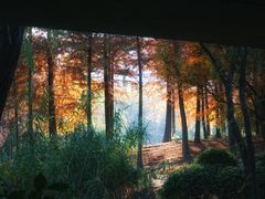 -宝界山林公园
