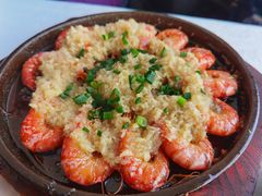 -云中小雅