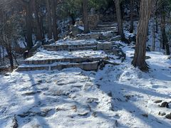 -北京鹫峰国家森林公园