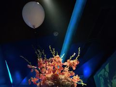 -黑桃K生日订制KTV