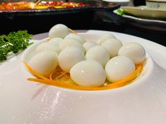 鹌鹑蛋-蓉城老妈火锅(双林路店)