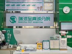 -瑞派动物医院·猫专科·至诚(江南中分院)