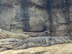 -波塞冬旅游度假区