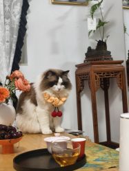 -闺蜜瑜伽·普拉提女性塑形馆