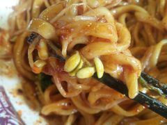 -老陈婆手工面庄