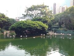 -九龙公园