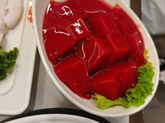 鲜鸭血-晓宇重庆火锅(赛格国际购物中心店)