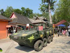-西双版纳傣族园