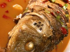红烧黄河鲤鱼-阿五黄河大鲤鱼(英协路店)