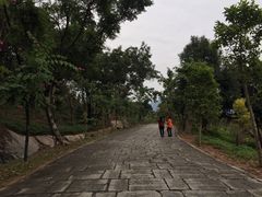 -深圳野生动物园