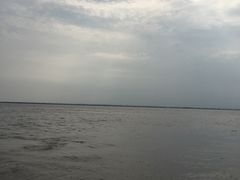 -呼兰河口湿地公园