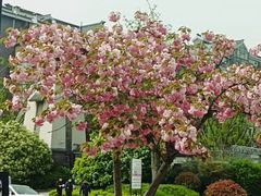 -唐城墙遗址公园