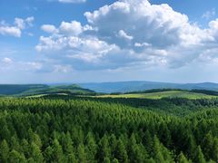 -塞罕坝国家级自然保护区