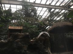 -龙达温泉生态城