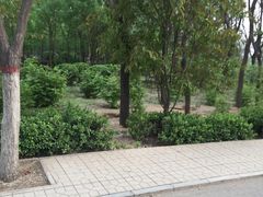 -太原动物园
