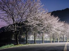 -团城山公园