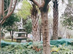 -昆明洲际酒店