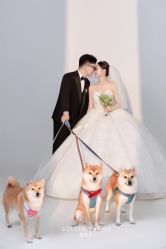点击看大图 -金夫人婚纱摄影(衡阳店)