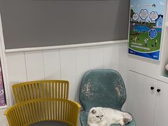 -关爱宠物医院·猫科中心·消化科(滨湖万达分院)