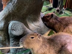 -顺德南宏海立方海洋公园