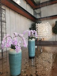 -沈阳君悦酒店·宴会厅