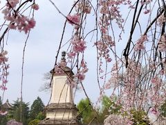 -西安青龙寺遗址景区
