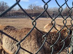 -北京麋鹿生态实验中心