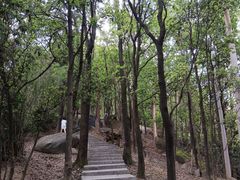 -火炉山森林公园