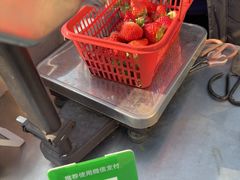 -大自然农场蔬菜草莓采摘园