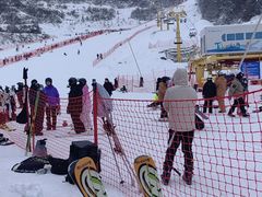 -太子岭滑雪场