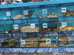-范饭椰林川湘味海鲜·椰子鸡(三亚湾椰梦长廊店)