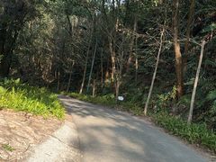 -中旅阿那亚九龙湖·公主酒店