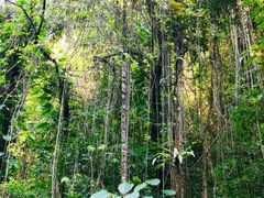 -孔雀湖生态旅游区