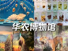 -广东省博物馆