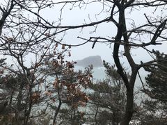 -棒棰岛宾馆景区