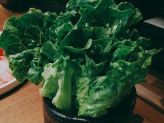 -快乐小羊·内蒙牛羊肉火锅(流花中心店)