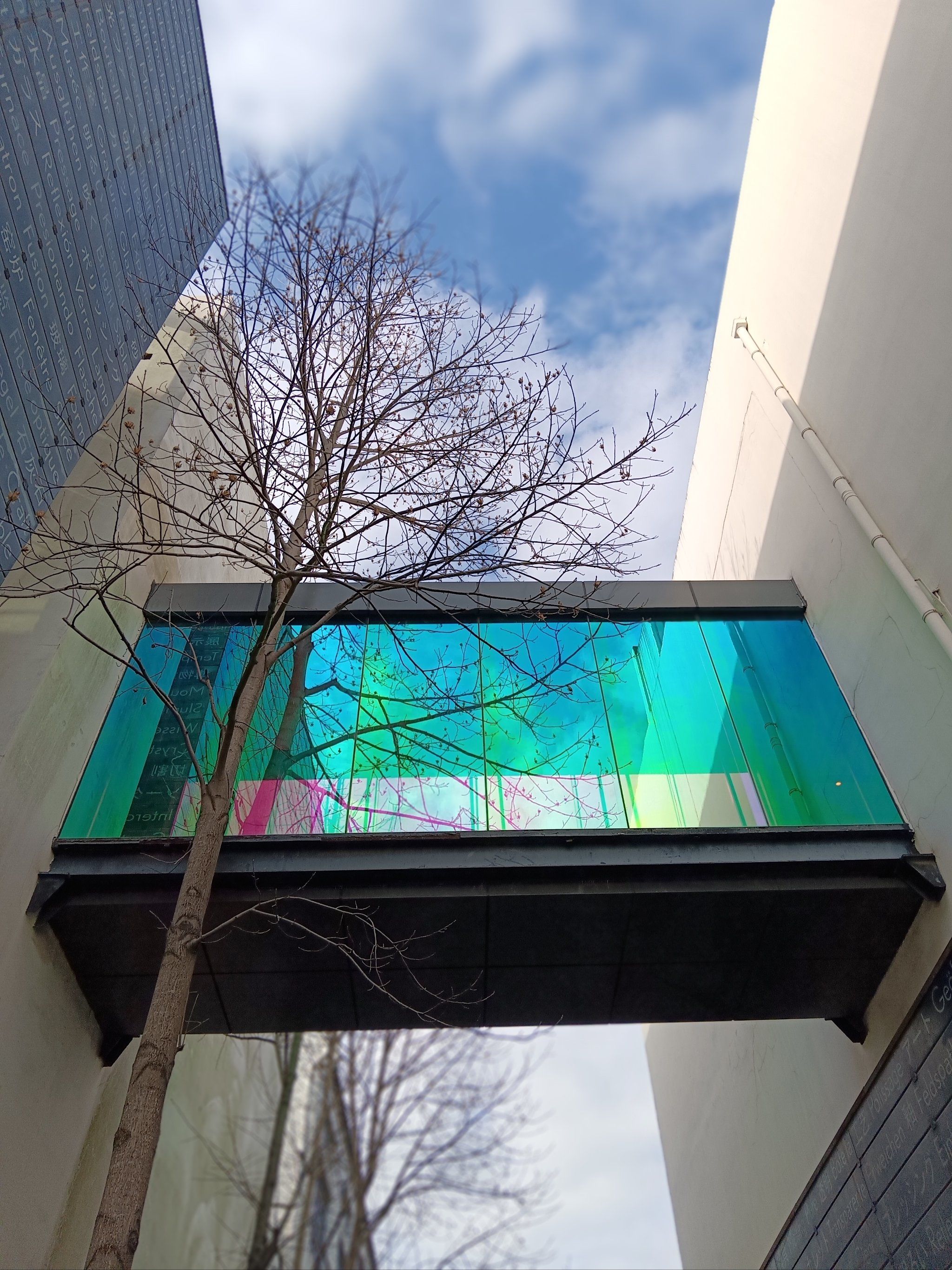 上海展览