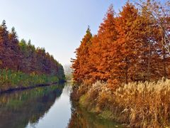 -溱湖国家湿地公园