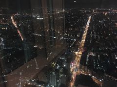 -顶鲜101美食美景餐厅