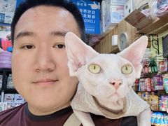 -爱宠屋pet shop·宠物洗澡·宠物美容