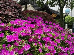 -常州古运河南大街文化旅游区-人民公园