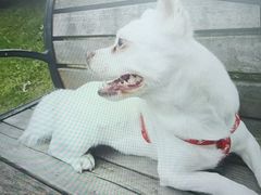 -蒋师傅酥鱼(大关自营店)