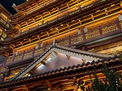 -越秀西湖花市(广州城市广场花卉店)