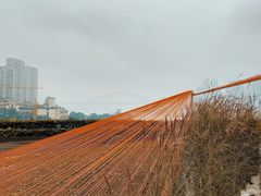 -重庆市江北嘴中央商务区中央公园