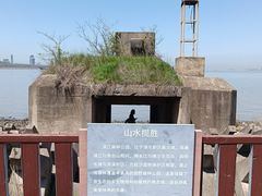 -上海滨江森林公园