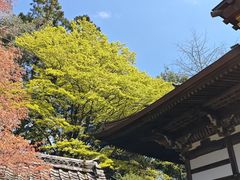 -瑞凤殿(Grave of Date Masamune)