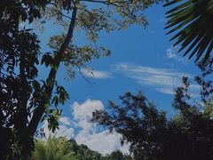 -中国科学院西双版纳热带植物园